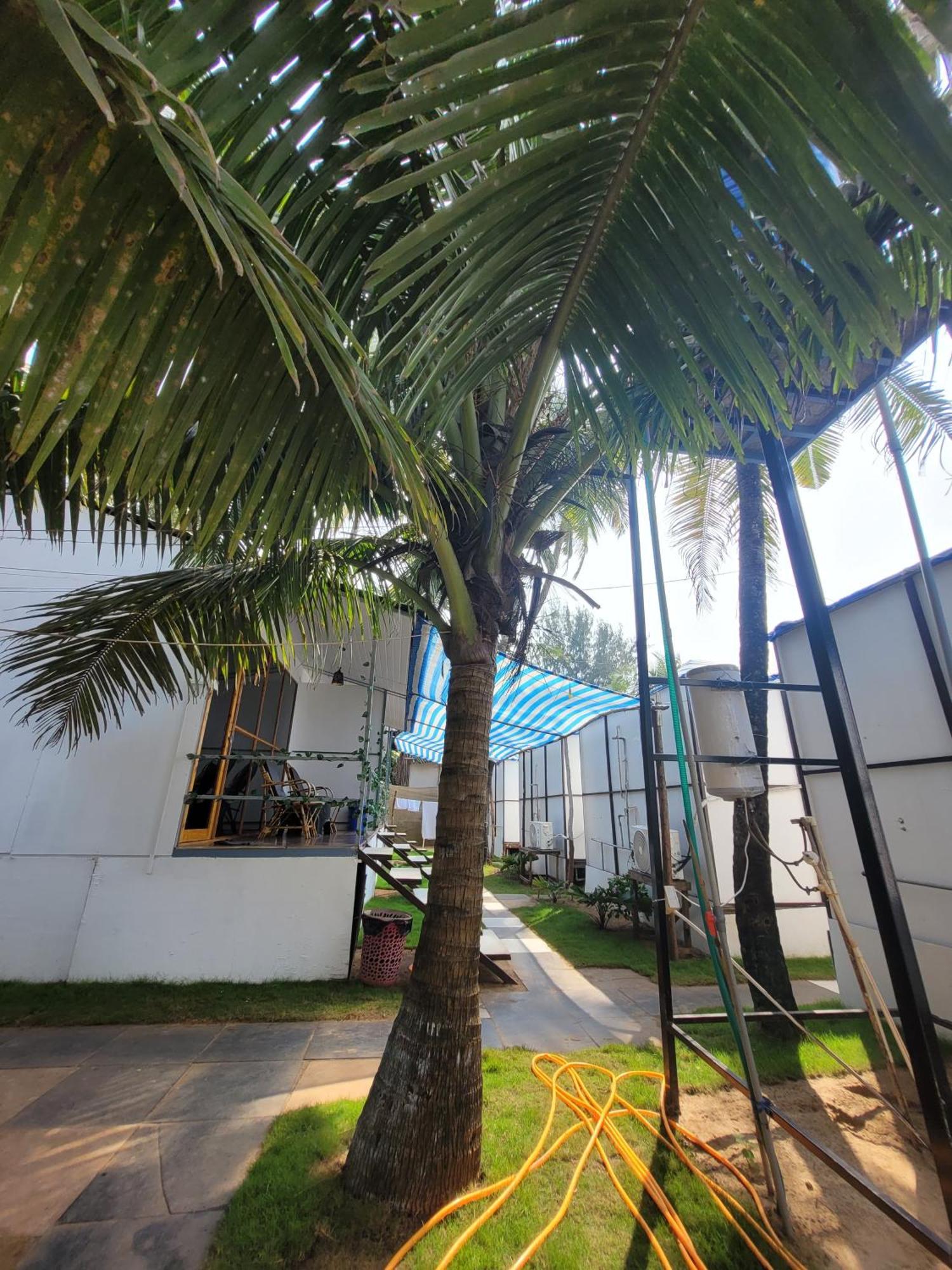 Kashinath Beach Huts 아곤다 외부 사진